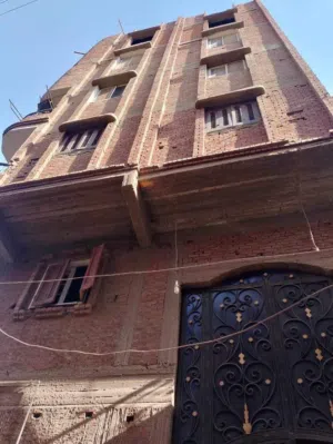 عمارة لقطة اوى