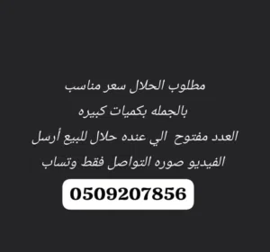 مطلوب حلال جمله