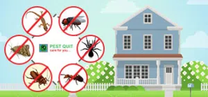 PROFESSIONAL PAKISTANI ALL TYPES PEST CONTROL SOLUTION WITH GUARANTEED6 MONTH BEST PRICE