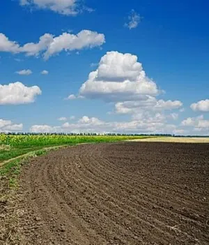 Mixed Use Land for Sale in Ma'an Al-Hussainiyyah