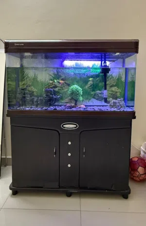 Aquarium Fish Tank Full Set for Sale
