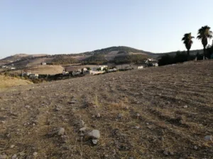 Residential Land for Sale in Amman Al Urdon Street