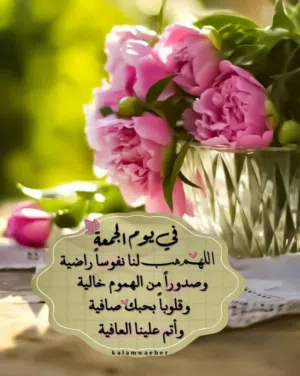 احمد شاهين 
