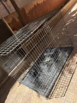 قفص حجم كبير