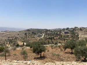 دونم ارض سكني في بطنا حوض المزود
