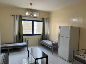 سكن شير لشباب عرب
