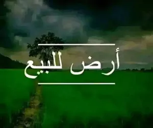 أرض تجارية للبيع في النوفليين ...