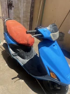 فراشه حلوه ونشطه 300 بيها مجال بسيط الزبير