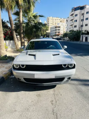 يتوفر لدينا سيارات مميزه للأيجار بأفضل الأسعار