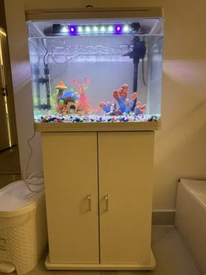 للبيع حوض سمك  for sell fish tank