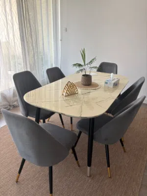 Pan Home Dining table set with 6 chairs