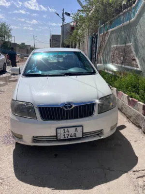 كورلا بيكاجو نضيفه