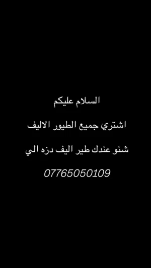 جميع الببغاوات الاليفه