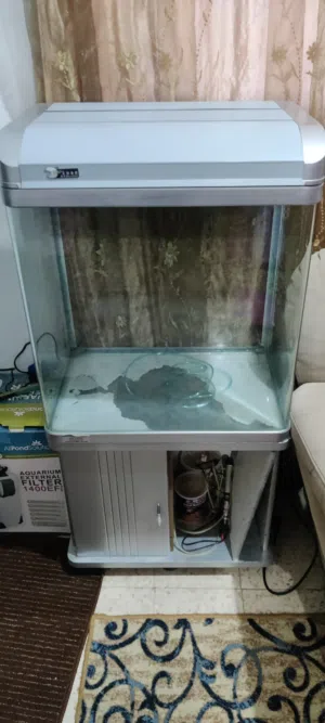 حوض سمك اجنبي