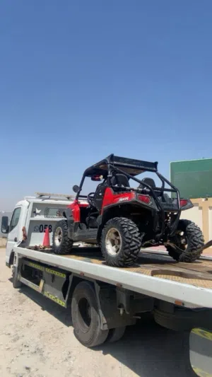 Polaris rzr 2008