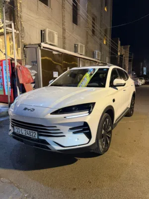 Byd سونك بلص 2025 ماشيه