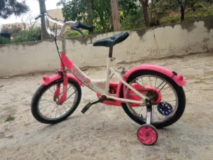 بسكليت نمرة 12 بحال الجديد بحاجة كوشوك أمامي فقط