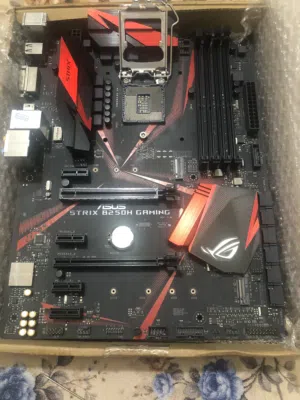 motherboard امزون فحم