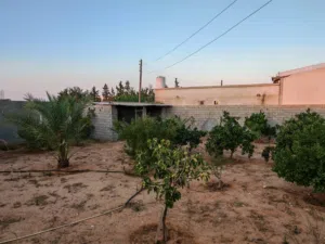Residential Land for Sale in Tripoli Tajura