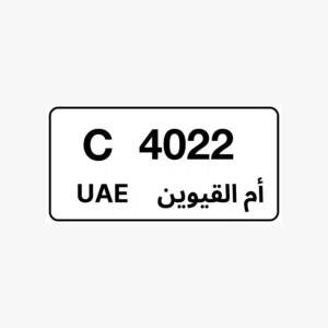 للبيع لوحه ام القيوين