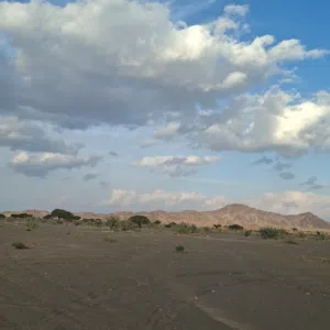 الحمدلله 
