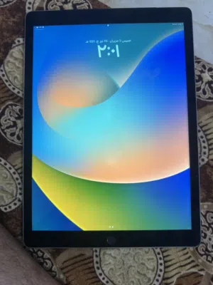 Apple Others 256 GB in Basra