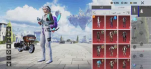 Pubg Accounts and Characters for Sale in Basra