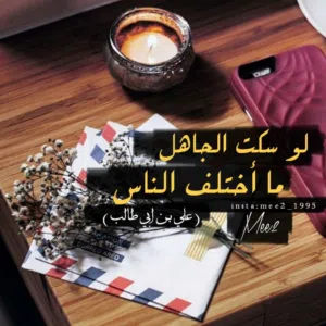 ابو علاء الاسدي 