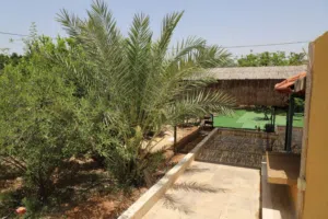 Residential Land for Sale in Jericho Nu'eima