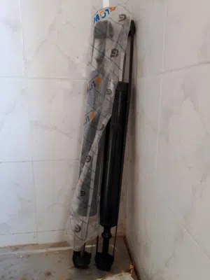 مزطوريات بي ام ميامتي