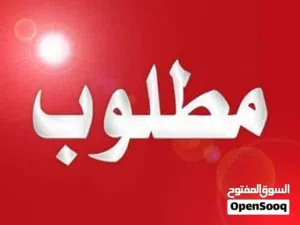 مطلوب أنثى كناري مصوقرة و جاهزة في مصراتة