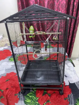 Specious Strong Bird Cage
