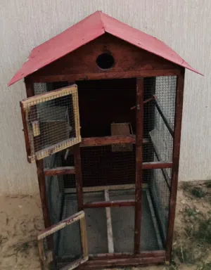 قفص عصافير خشبي للبيع