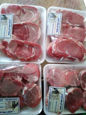 ملحمة ومسلخ خاص وأرض "مزرعة" للبيع