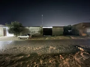 لإيجار  يتوفر عدد (2) قطع أرض للإيجار، مساحة كل قطعة 300 متر مربع.