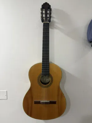 Greg Bennett Design C3 Samick