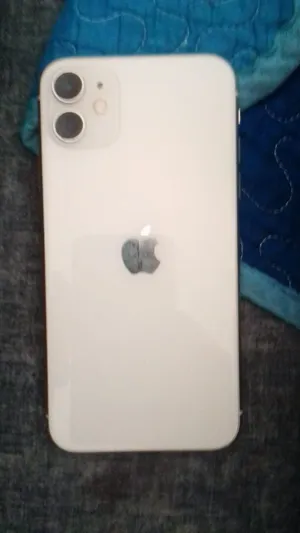 آيفون-11-عادي