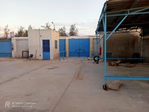 مصنع ببرج العرب 3000 متر ناصيه