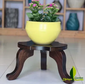 أصيص من السيراميك بجودة ممتازة