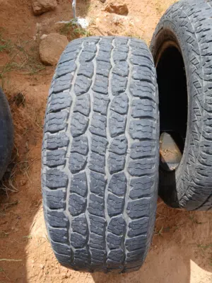 سرية قومه نص تحجيره للبيع 20,60,275