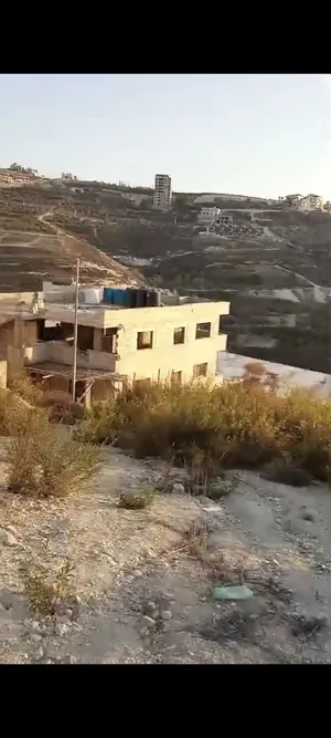 سكنية . 490 م٢ . الوسيط3