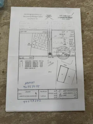 ارضين شبك رقم الأراضي 37 و 38 كل مساحه ارض 600 متر