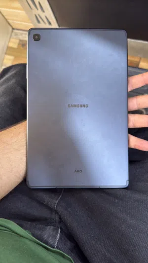 Samsung Galxy Tab S6 Lite 64 GB in Salt