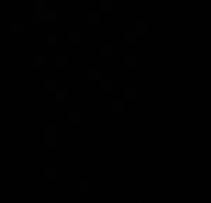 Mohmmed55Mohmmed 