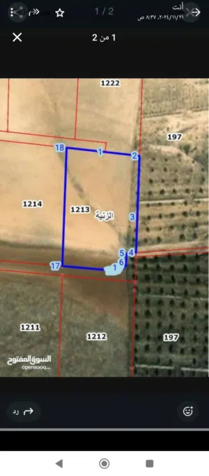 Residential Land for Sale in Mafraq Znaya