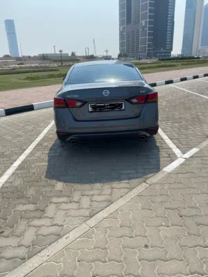 نيسان التيما