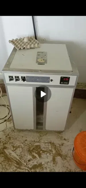 فقاصة للبيع