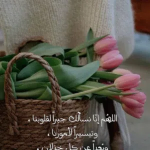 علي 