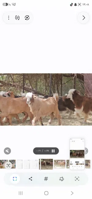 بسم الله ماشاءالله جدايه  بياض الوجه