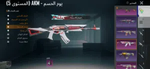 حساب ببجي للبيع للجادين